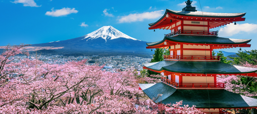 Memorable Japanese Experiences You Must Try in Tokyo and Osaka